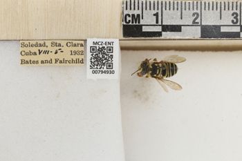 Media type: image;   Entomology 794930 Aspect: Labels